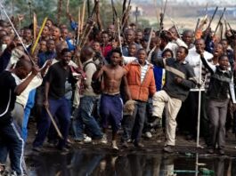 Calls Mount for Probe into Alleged Funding of South African Anti-Migrant Protests