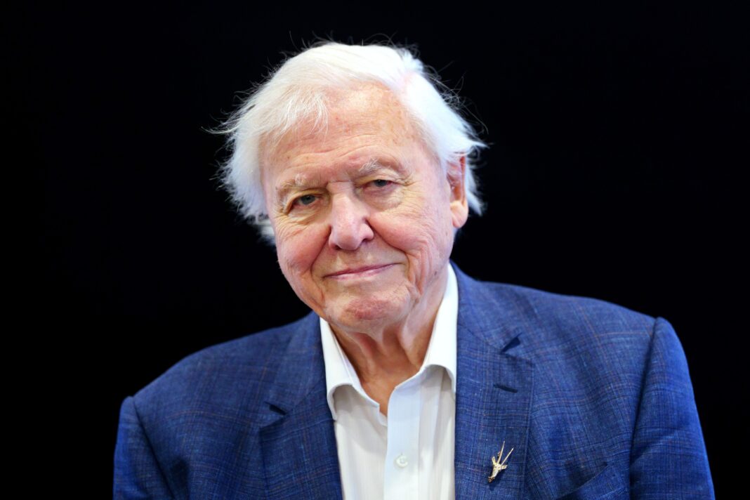 Marking a century | David Attenborough to celebrate 100th birthday Marking a century | David Attenborough to celebrate 100th birthday