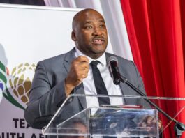 Zimbabwe part of six-nation bid for 2028 Africa Cup of Nations: SA minister