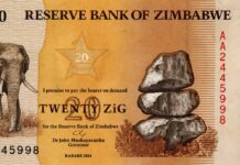 Zimbabwe’s “Managed Stability” Debate: A Critical Economic, Currency, Banking and Investment Review in a Dual-Market Economy