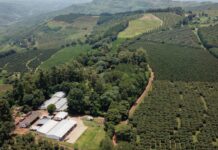 Zimbabwe’s Property Rights Reset and the Reconfiguration of Sovereign Credibility