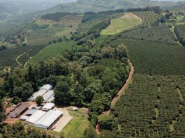 Zimbabwe’s Property Rights Reset and the Reconfiguration of Sovereign Credibility