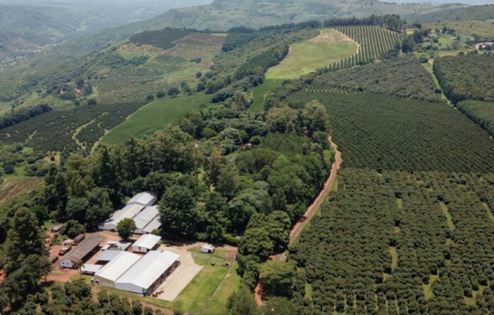 Zimbabwe farming agriculture land