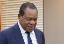 US$1,66bn irrigation drive to anchor dam-based industrialisation