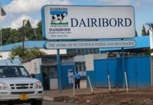 Dairibord Control Deal Signals New Era for Zimbabwe’s Dairy Giant as Majority Shareholders Seek Buyer