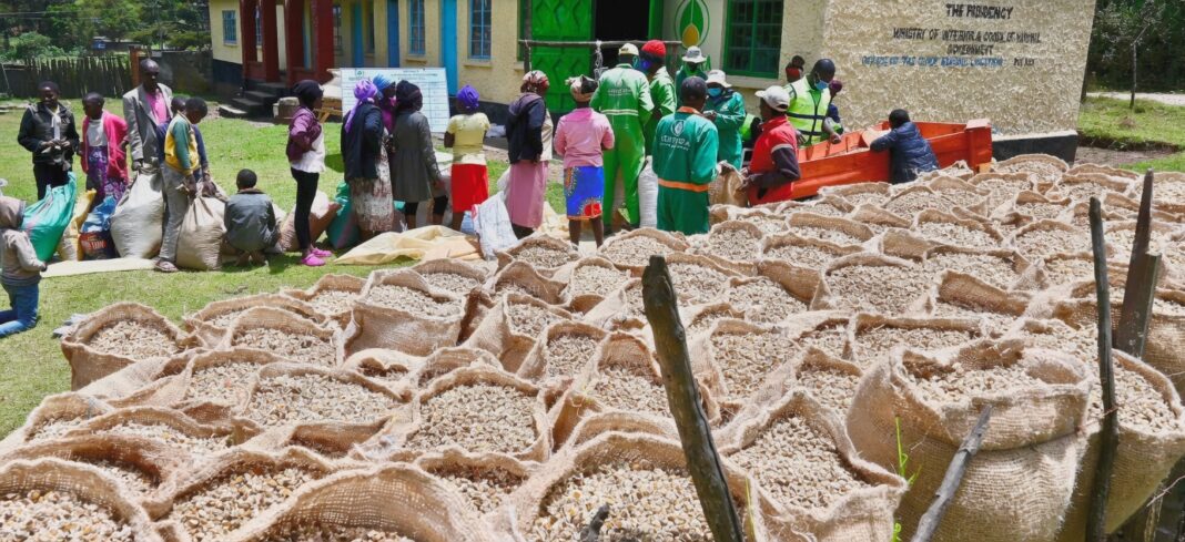 Zimbabwe Must Learn from Kenya’s Kentegra Model: Why Rural Agriculture, Green Manufacturing and Value Addition Hold the Key to Sustainable Economic Transformation Zimbabwe Must Learn from Kenya’s Kentegra Model: Why Rural Agriculture, Green Manufacturing and Value Addition Hold the Key to Sustainable Economic Transformation