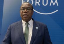 Prof. Mthuli Ncube Calls for Shift in Global Development Financing Models at WEF Dalian Forum