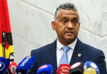 Mozambique to revise road code, introduce points-based driving licence