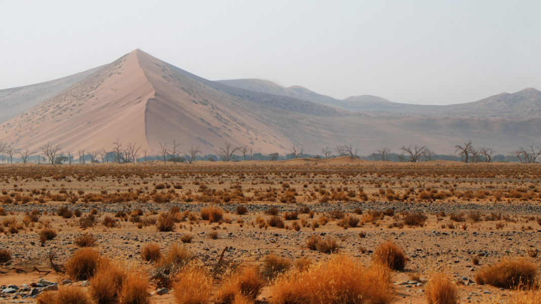 Multi-Metal Discovery Strengthens Namibia’s Position in Global Critical Minerals Supply Chain Multi-Metal Discovery Strengthens Namibia’s Position in Global Critical Minerals Supply Chain