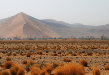 Multi-Metal Discovery Strengthens Namibia’s Position in Global Critical Minerals Supply Chain