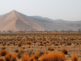 Multi-Metal Discovery Strengthens Namibia’s Position in Global Critical Minerals Supply Chain