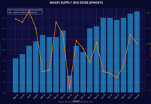 Maiden ZiG Securities Auction Lays Foundation for Domestic Yield Curve Development