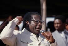 National Culture, Power Distance and the Zimbabwean State: How Power Centralisation Weakened the Bond Between Citizens and Nationhood
