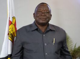 Zimbabwe’s ambassador to Mozambique and Eswatini, Victor Matemadanda, dies aged 66