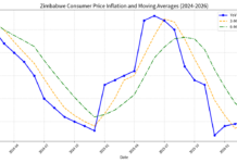 Defying Cost Volatility: A Strategic Pricing Response in Zimbabwe’s Fragmented Economy. The Reality of Constant Price Instability in Zimbabwe