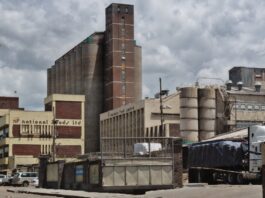 National Foods bets big as Zim economy stabilises