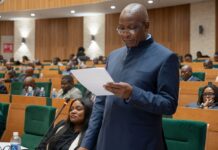 Government Drops Gender Commission Merger and Chiefs’ Politics Clause as Constitutional Amendment Bill Advances