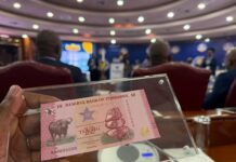 Zimbabwe Central Bank Introduces Short-Term Local Currency Instruments to Tighten Liquidity and Stabilise Currency