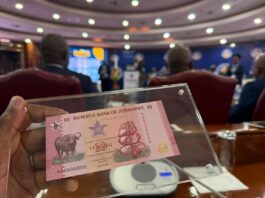 Zimbabwe Central Bank Introduces Short-Term Local Currency Instruments to Tighten Liquidity and Stabilise Currency