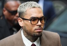 Chris Brown pleads guilty to affray over London nightclub attack