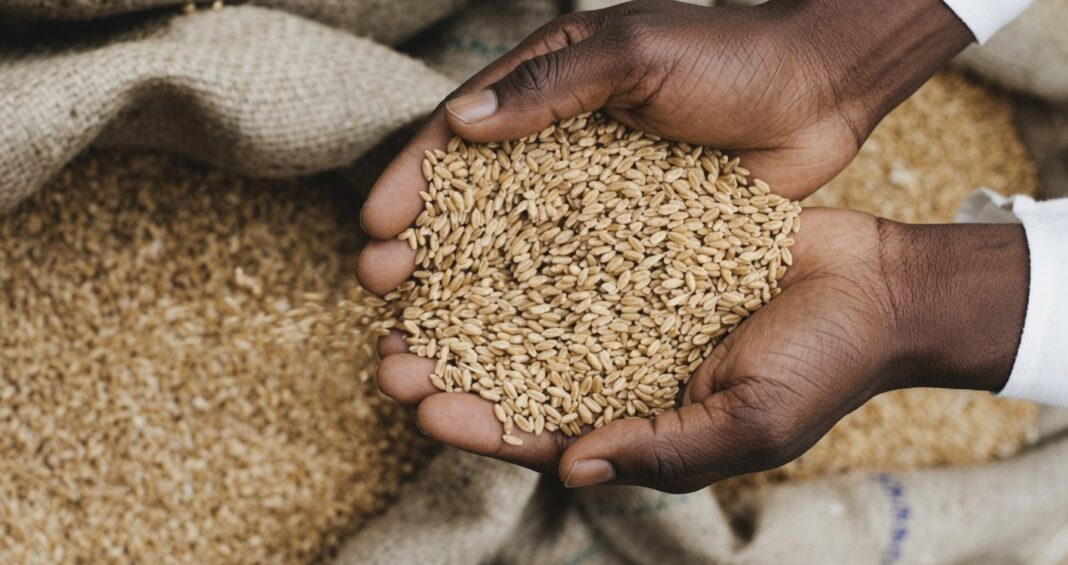 Public Policy Advisory: Repositioning Agriculture as the Foundation of Zimbabwe’s Industrial Recovery and Economic Transformation Public Policy Advisory: Repositioning Agriculture as the Foundation of Zimbabwe’s Industrial Recovery and Economic Transformation