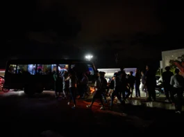 Zimbabwe Restores Electricity Following Nationwide Blackout Triggered by Transmission Line Fault