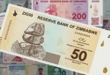 Calls for Gradual Transition to Single Currency as Zimbabwe Pursues ZiG Stability