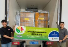 Zimbabwe Ships First Blueberry Consignment to China in Landmark Export Breakthrough