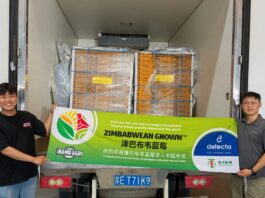 Zimbabwe Ships First Blueberry Consignment to China in Landmark Export Breakthrough
