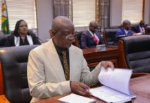 Zimbabwe Launches Major Legislative Reform Programme Following Constitutional Amendment