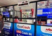 Econet targets 15,000 new EcoCash agents as Zimbabwe prepares for returnees