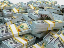 Zimbabwe Foreign Currency Receipts Jump 48% to US$10.7 Billion as ZiG Inflation Eases