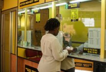 Zimbabwe’s Diaspora Remittances Rise to US$2.45 Billion as UK Overtakes South Africa
