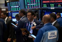 ZSE rallies as financial counters lead broad market advance