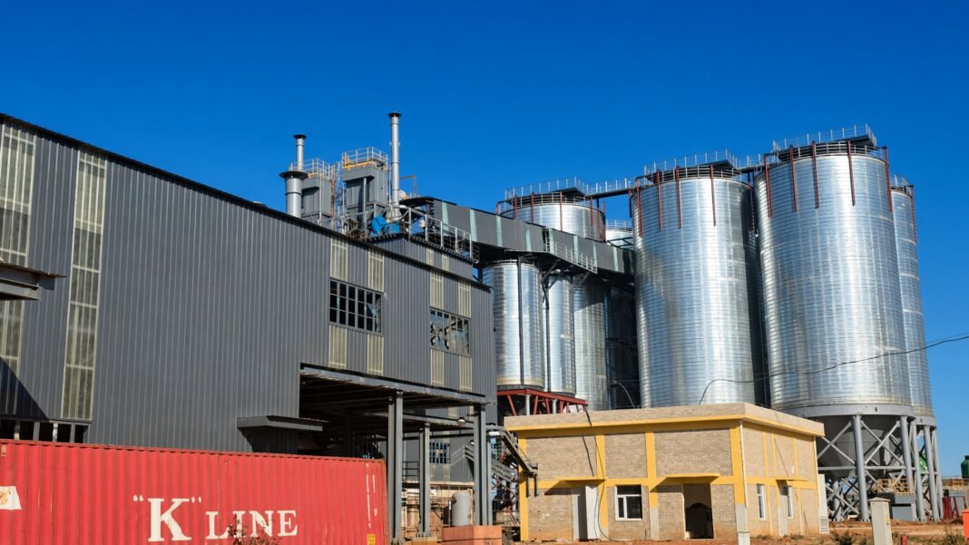 Shuntai’s US$120m Chegutu cement plant set to reshape Zimbabwe’s construction materials market Shuntai’s US$120m Chegutu cement plant set to reshape Zimbabwe’s construction materials market