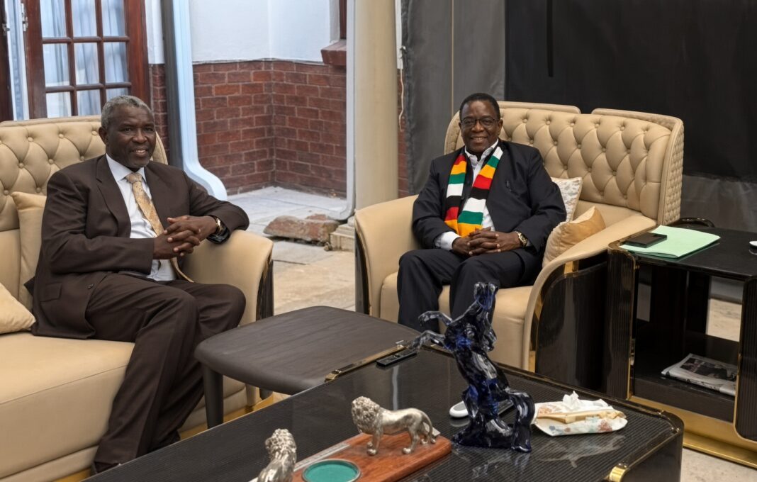 Mnangagwa splits Treasury from economic development, gives Tagwirei investment mandate Mnangagwa splits Treasury from economic development, gives Tagwirei investment mandate