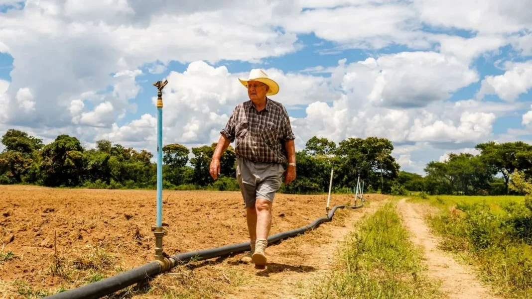 Zimbabwe’s farms enter a new era as former white farmers return through joint ventures Zimbabwe’s farms enter a new era as former white farmers return through joint ventures